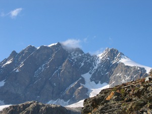 Il Bernina visto nei pressi del Rifugio Marinelli