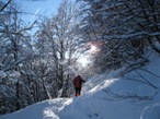 Quasi in uscita dal bosco, si deve oltrepassare il bivio segnalato per Brumano