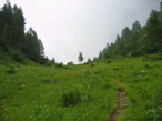 Fuori dal bosco si risale per prati