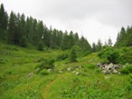 Altro scorcio dei prati da risalire fino ad incrociale la strada gippabile che porta direttamente al Rifugio, passando per la diga e il lago di Fregabolga