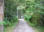 L'ingresso nel bosco appena dopo le terme di Valmasino