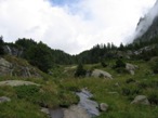 l'ultima radura prima di salire nel bel vallone della Val Porcellizzo